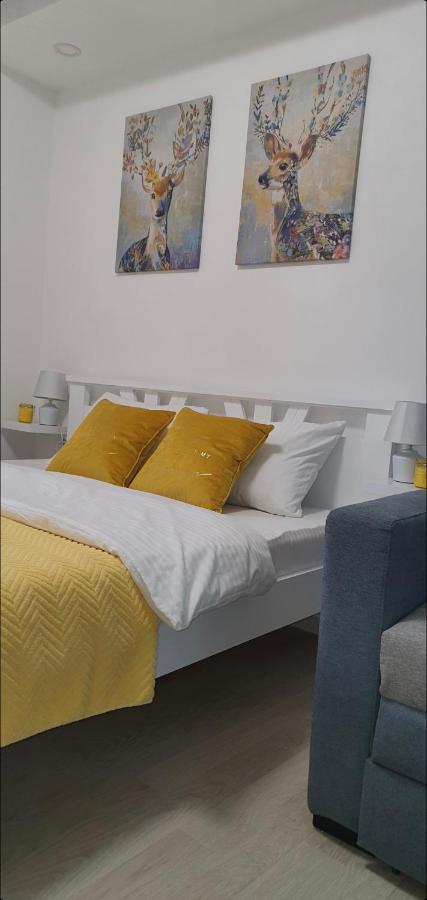 Apartman Iva Nova Varoš Esterno foto